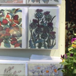 Jane Hickman - RHS Chelsea Flower Show