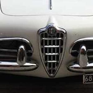 Alfa at home.
