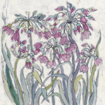 No.271 Allium (Bulgaricum) Greeting Card.